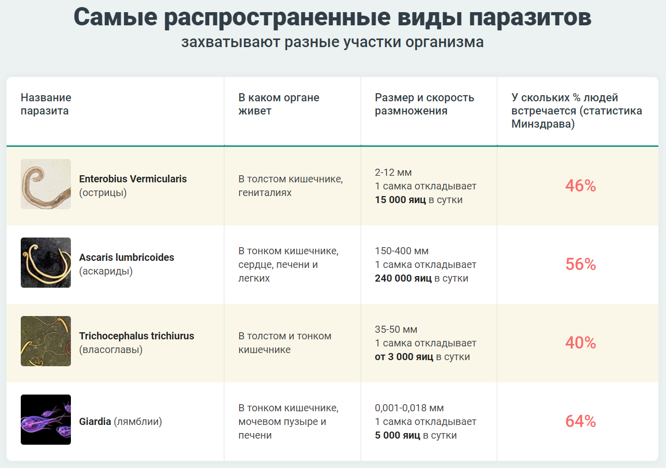 Гельминтоз статистика