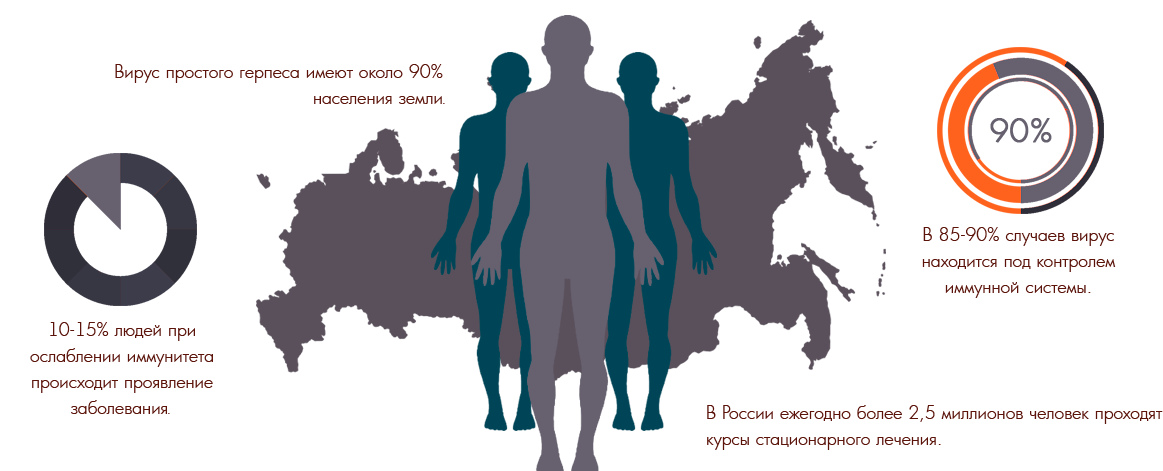 Герпес статистика